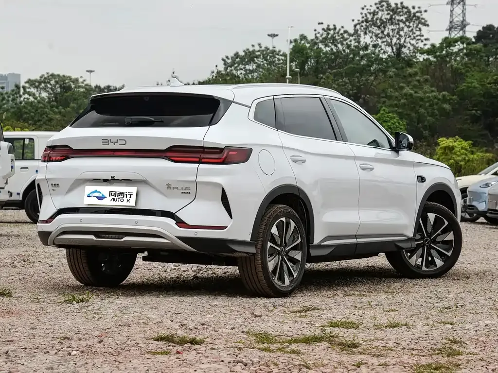 BYD PLUS New Energy 2025 из CN, фото 3