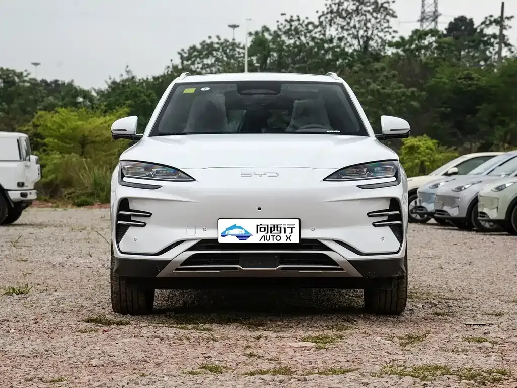 BYD PLUS New Energy 2025 из CN, фото 5