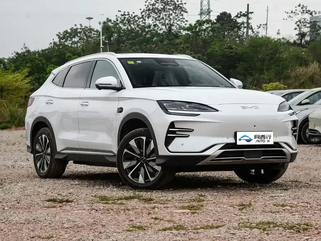 BYD PLUS New Energy 2025 из CN, фото 6