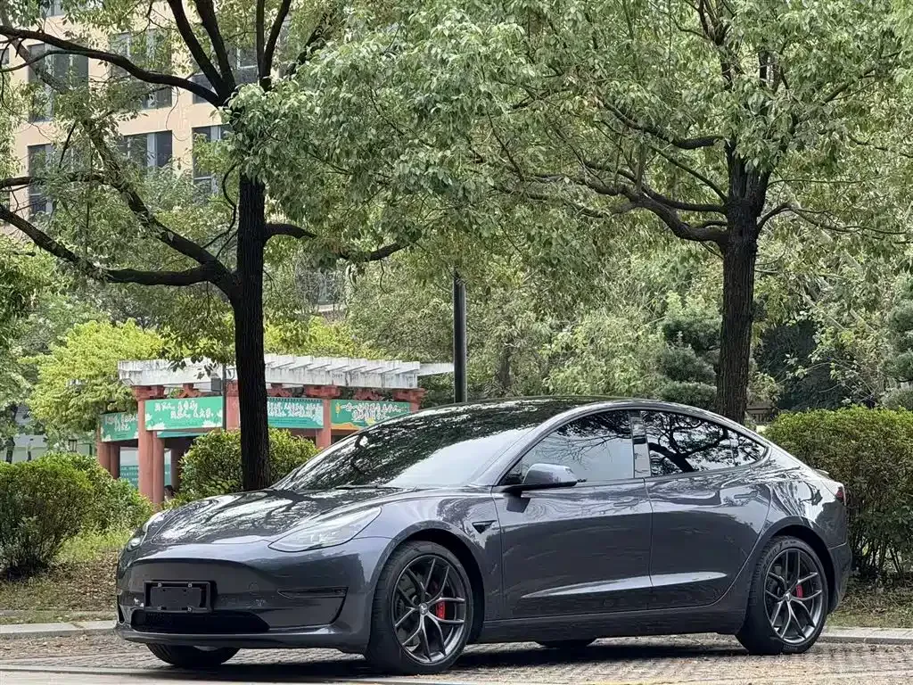 Tesla Model 3 2022 из CN, фото 2