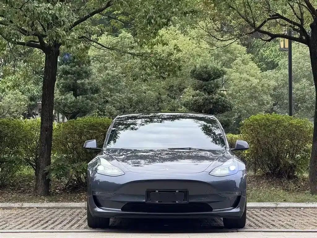 Tesla Model 3 2022 из CN, фото 3