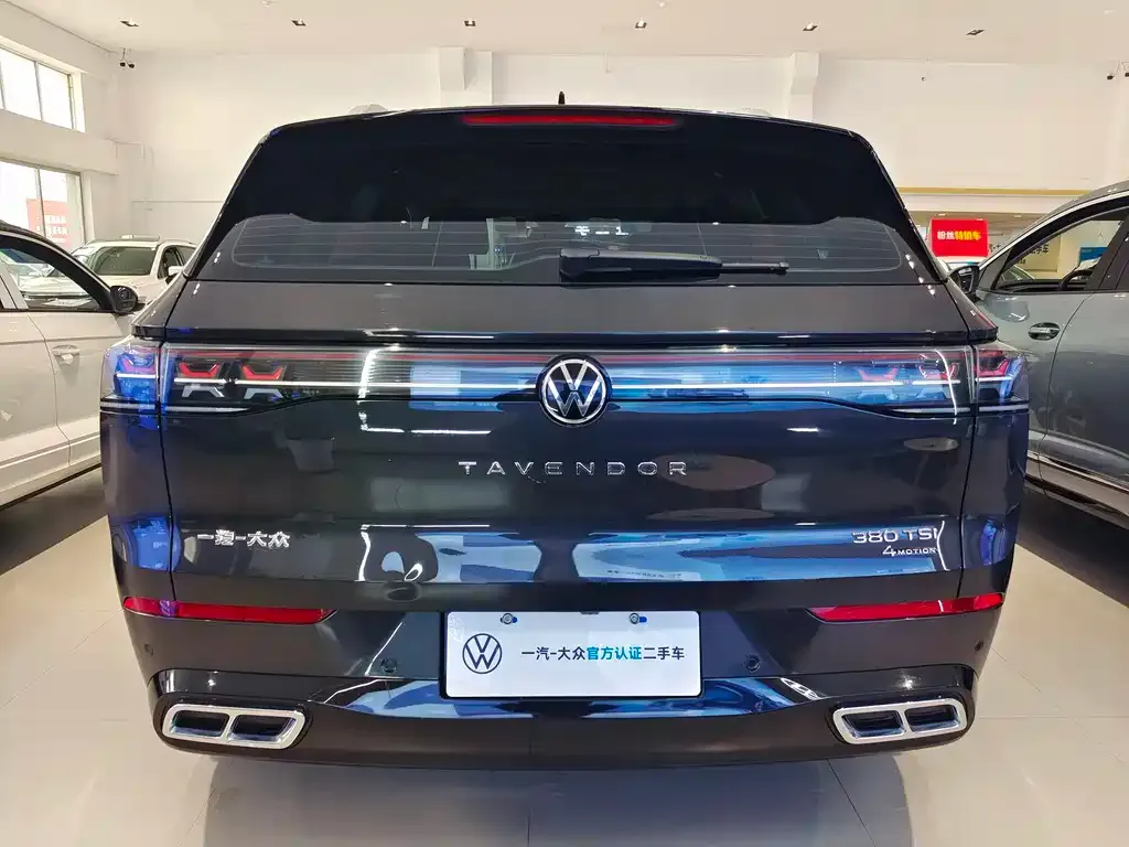 Volkswagen Tavendor 2023 из CN, фото 4