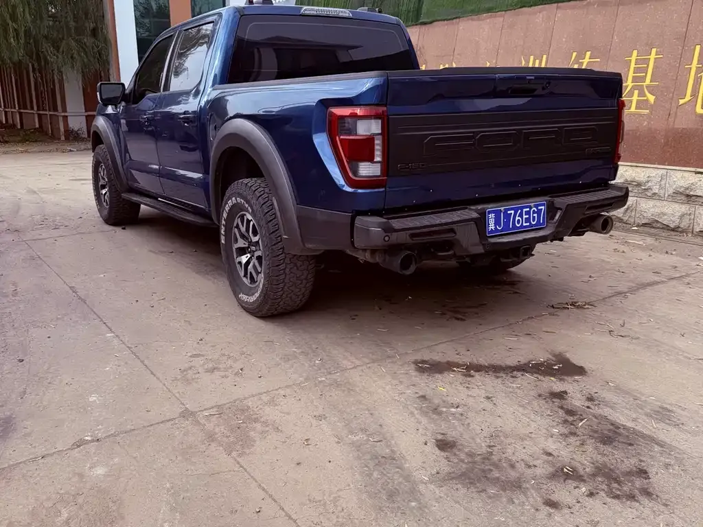 Ford F-150 Raptor 2022 из CN, фото 5