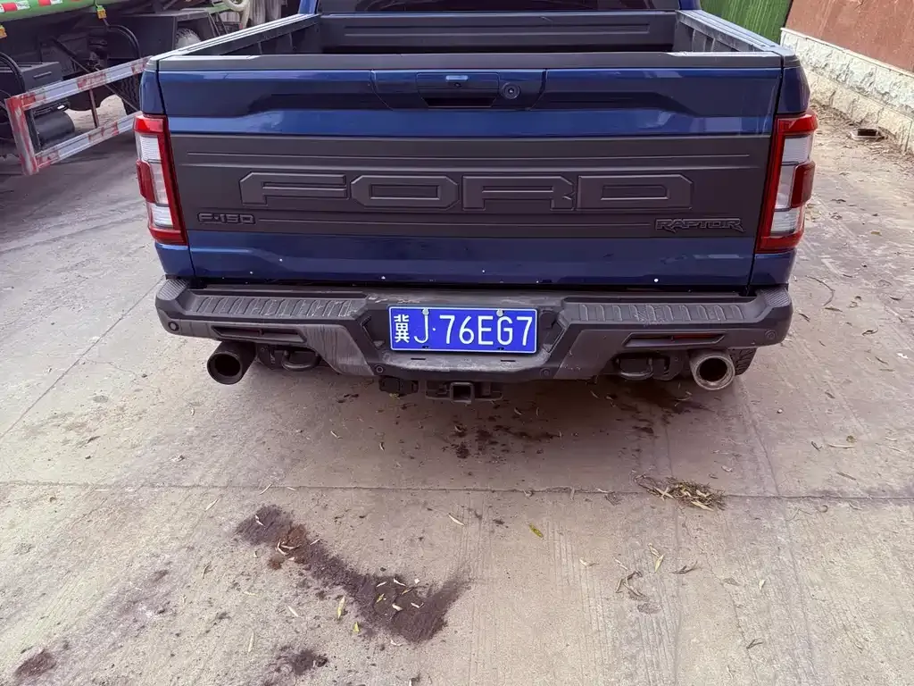 Ford F-150 Raptor 2022 из CN, фото 6