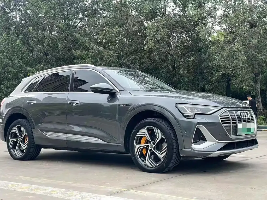 Audi e-tron 2022 из CN, фото 10