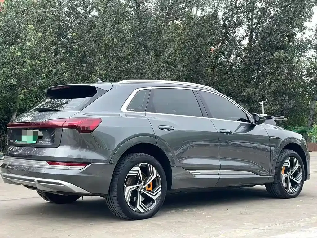 Audi e-tron 2022 из CN, фото 6