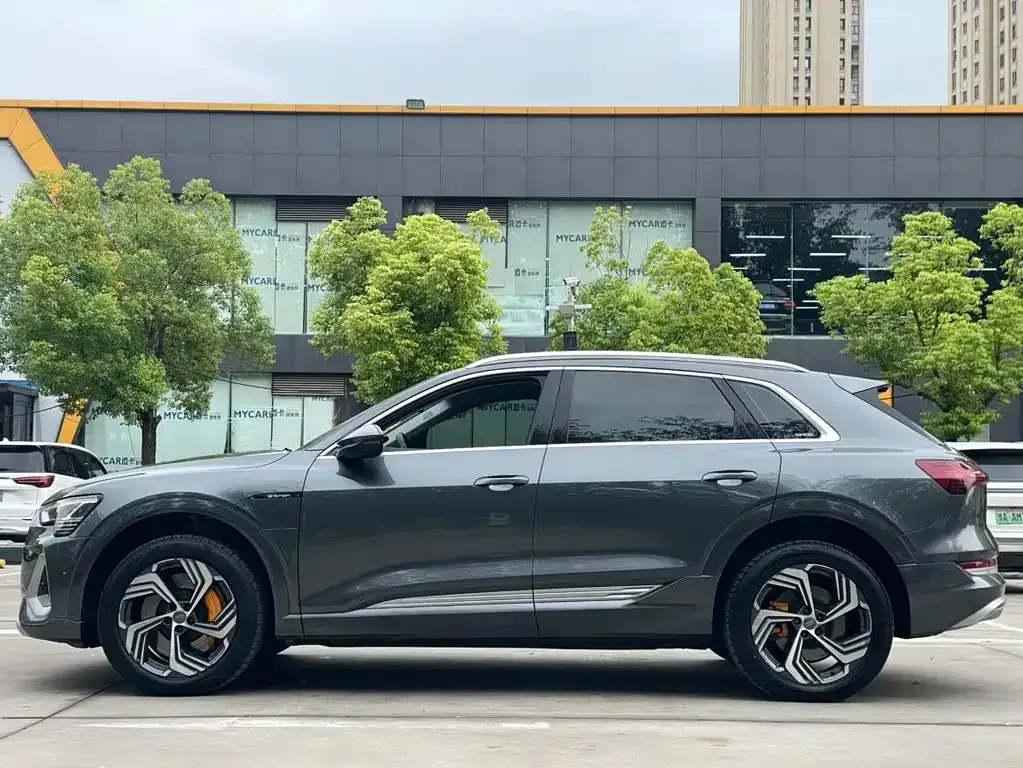 Audi e-tron 2022 из CN, фото 8