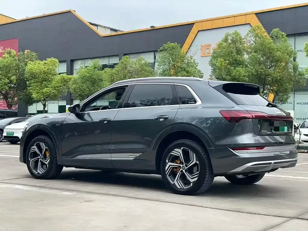 Audi e-tron 2022 из CN, фото 9