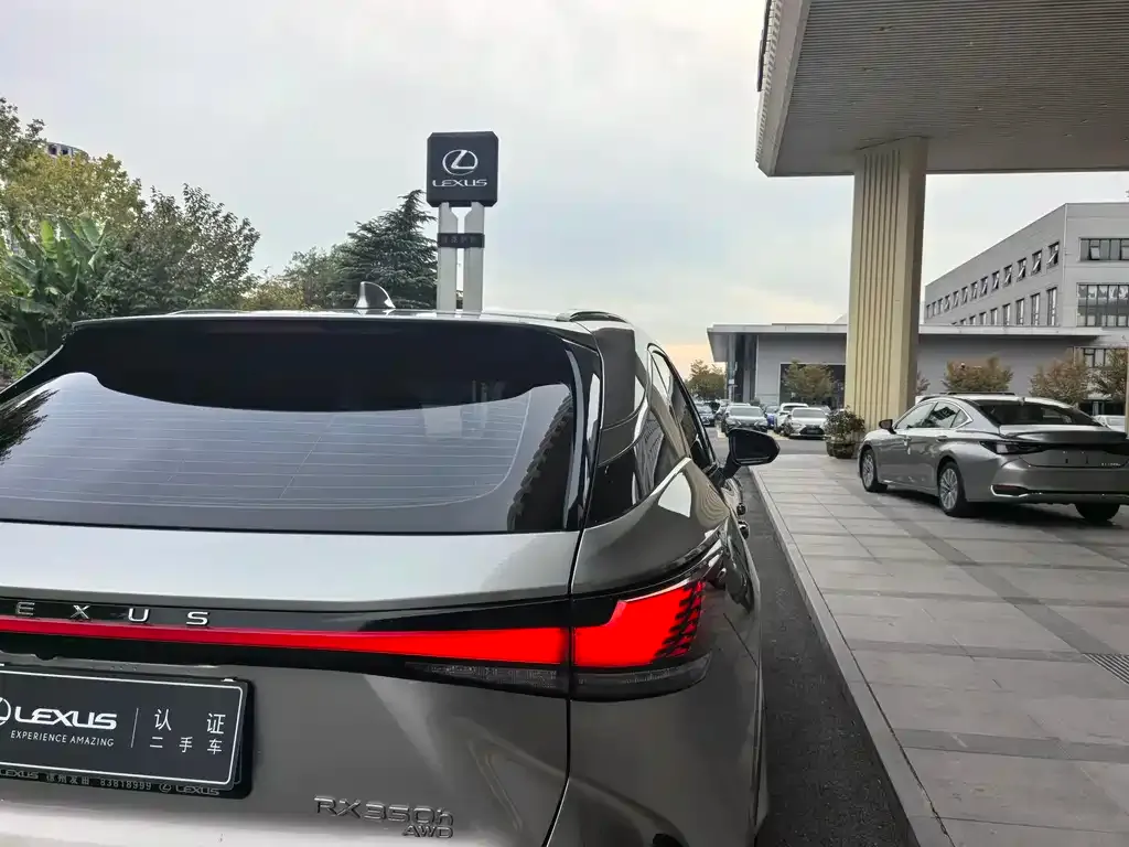 Lexus RX 2024 из CN, фото 10