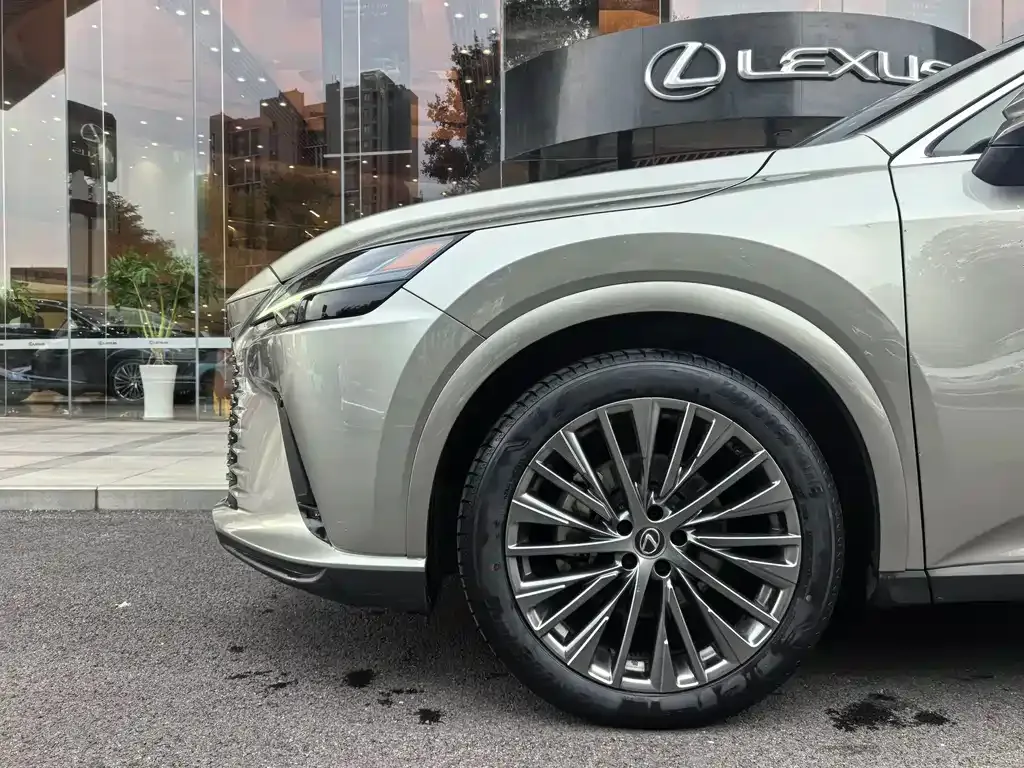 Lexus RX 2024 из CN, фото 5