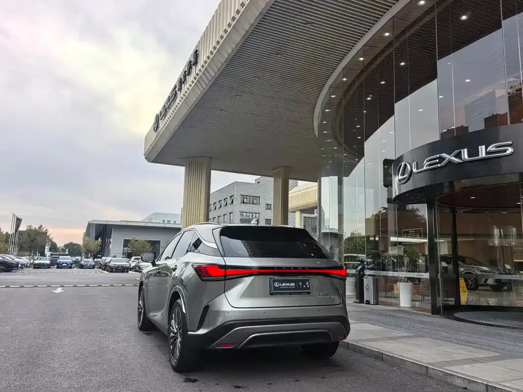 Lexus RX 2024 из CN, фото 7