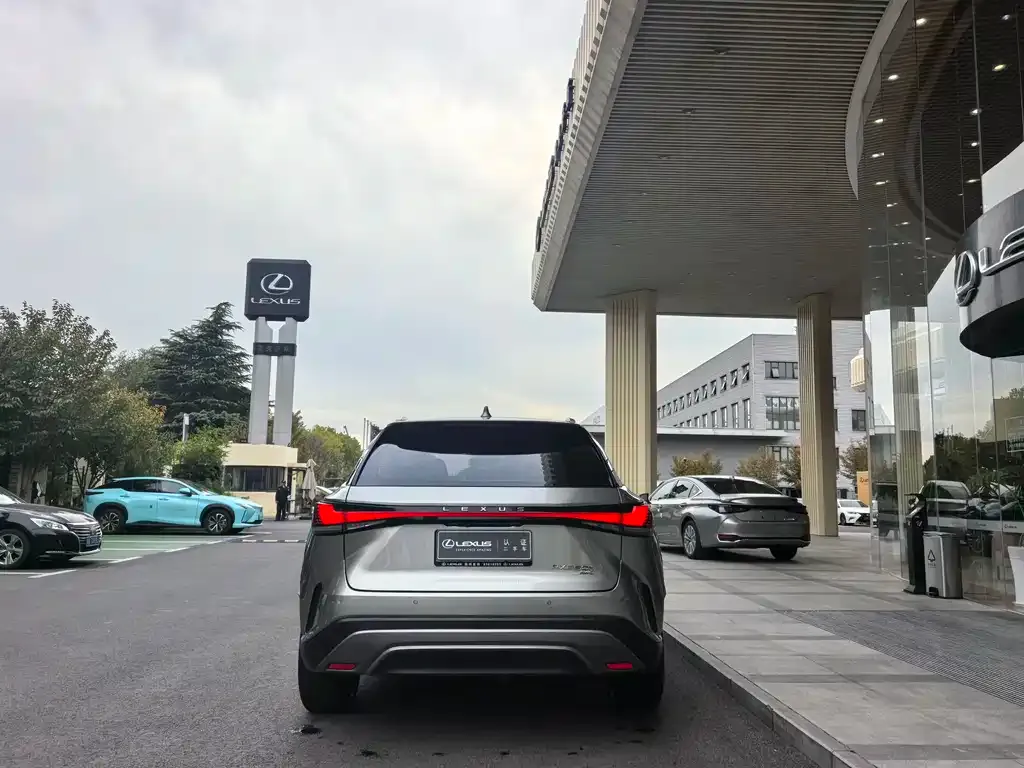 Lexus RX 2024 из CN, фото 8