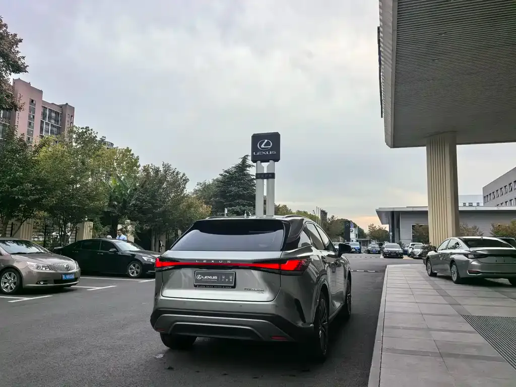 Lexus RX 2024 из CN, фото 9
