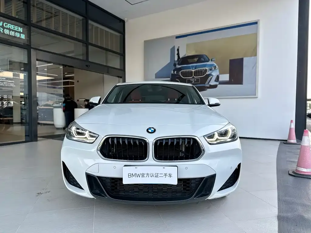 BMW X2 2022 из CN, фото 3