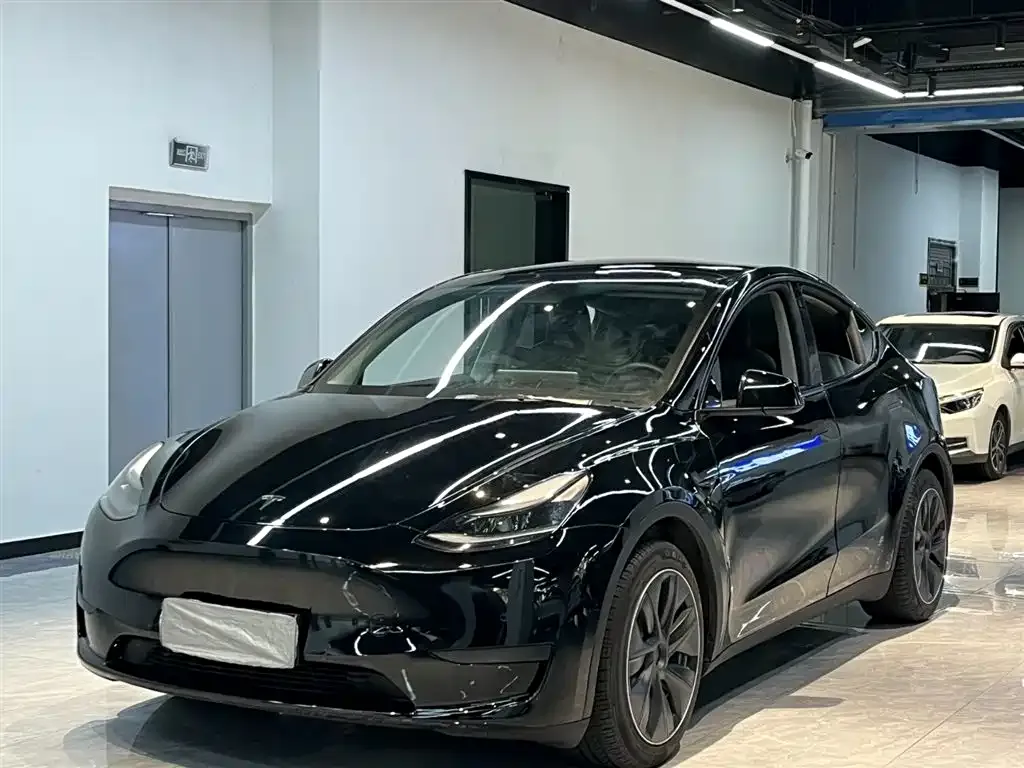 Tesla Model Y 2021 из CN, фото 1