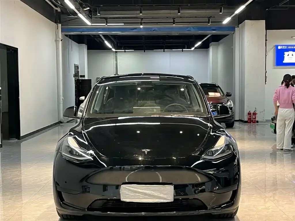 Tesla Model Y 2021 из CN, фото 2