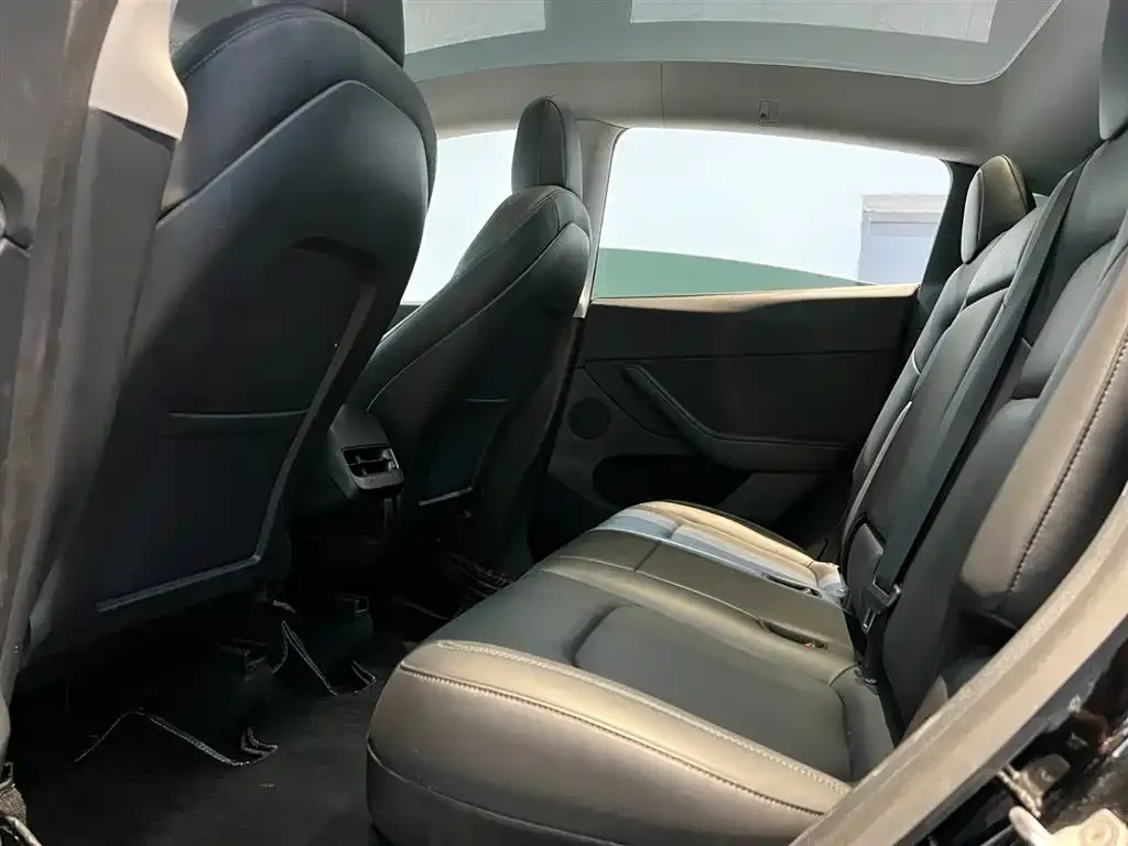 Tesla Model Y 2021 из CN, фото 5