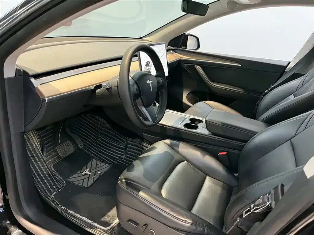 Tesla Model Y 2021 из CN, фото 6