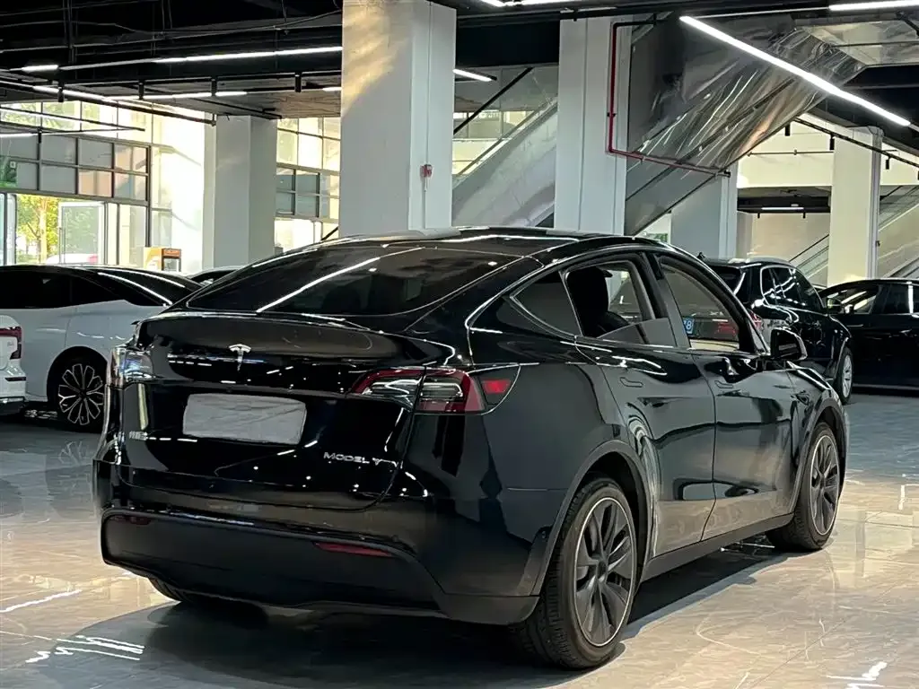 Tesla Model Y 2021 из CN, фото 7