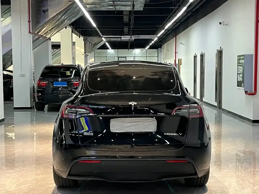Tesla Model Y 2021 из CN, фото 8