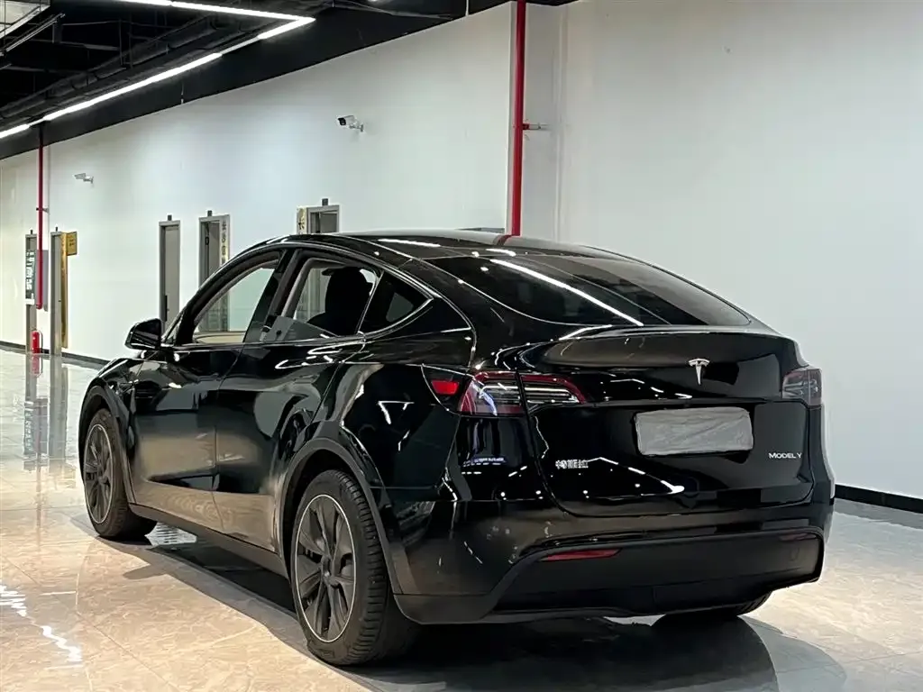 Tesla Model Y 2021 из CN, фото 9