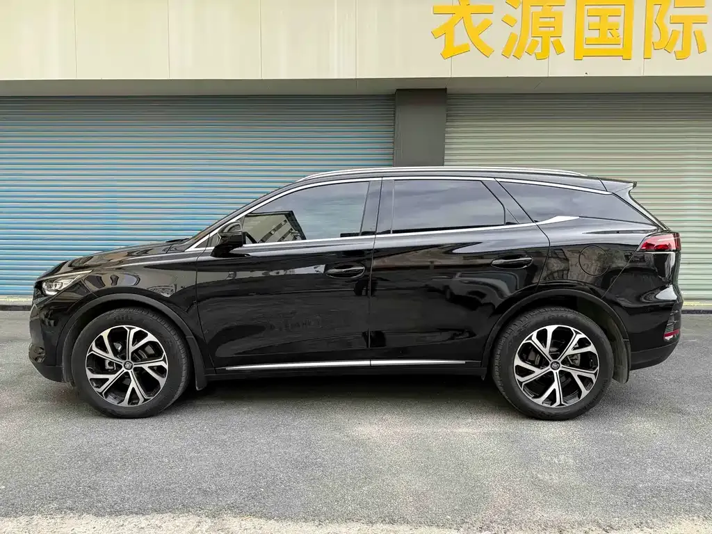 BYD Tang New Energy — фото 10