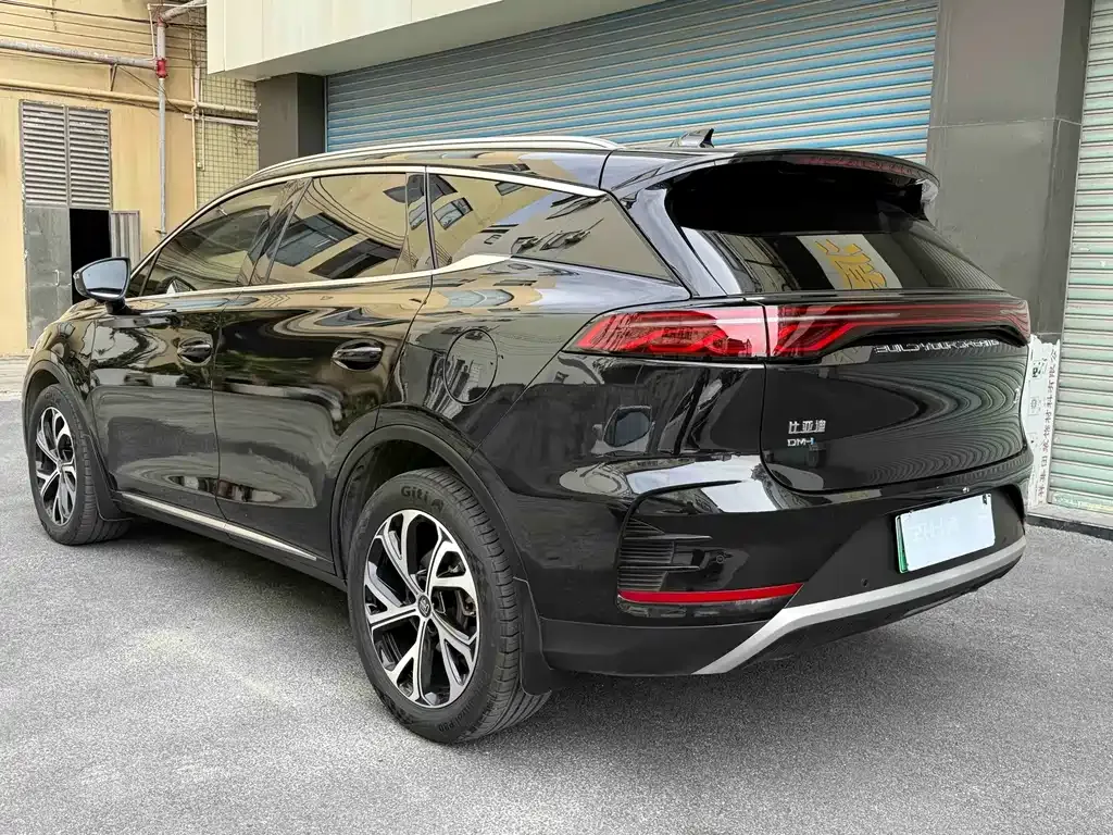 BYD Tang New Energy — фото 4