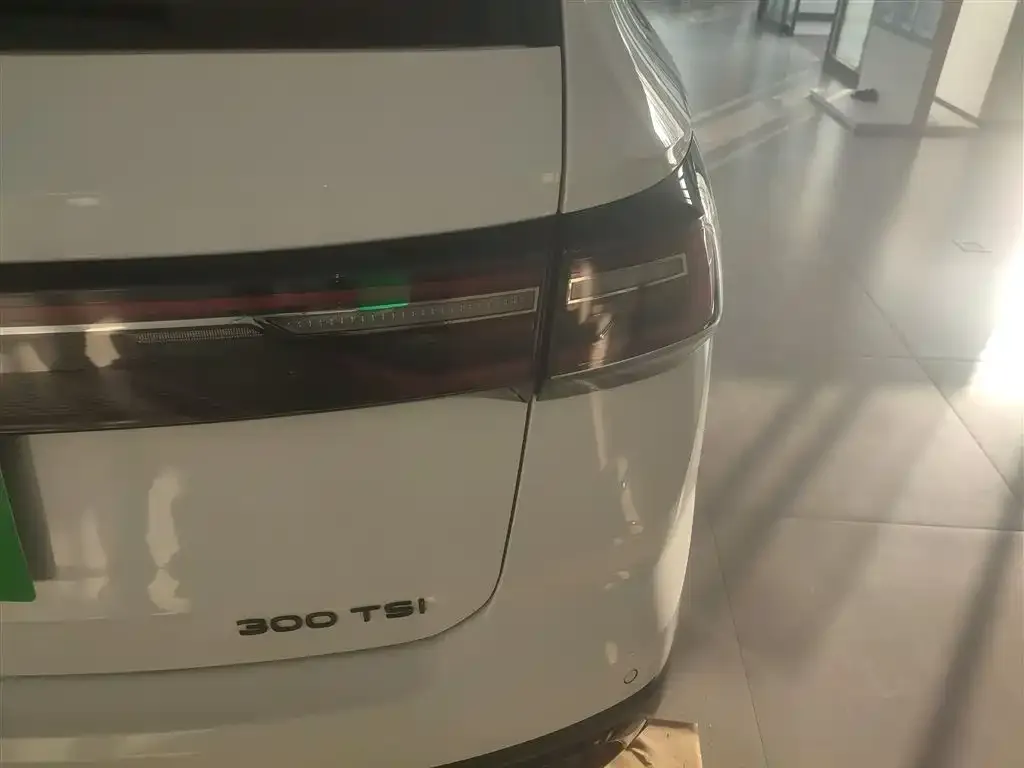 Volkswagen Tharu 2024 из CN, фото 8