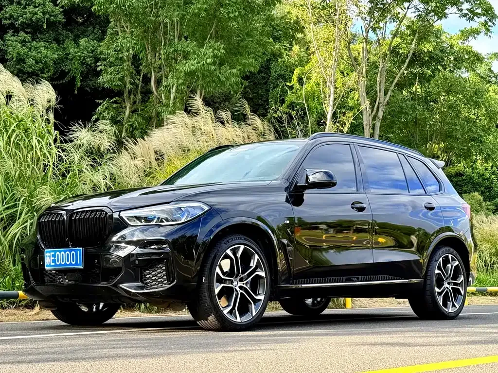 BMW X5 — фото 1
