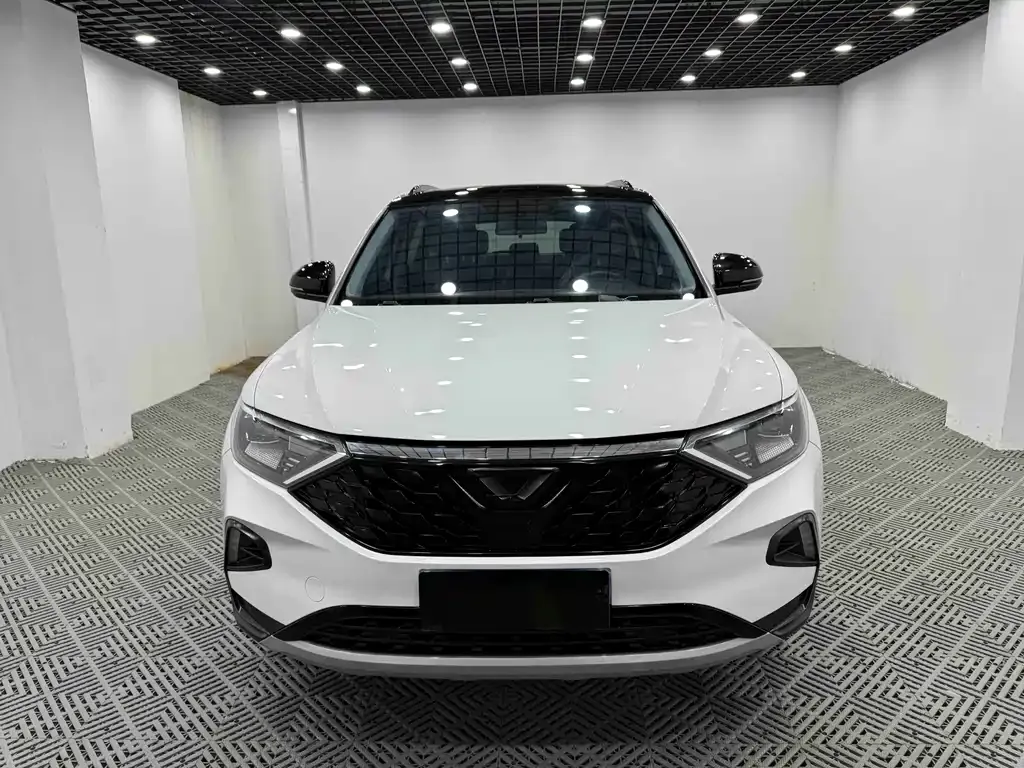 Jetta VS7 2022 из CN, фото 2