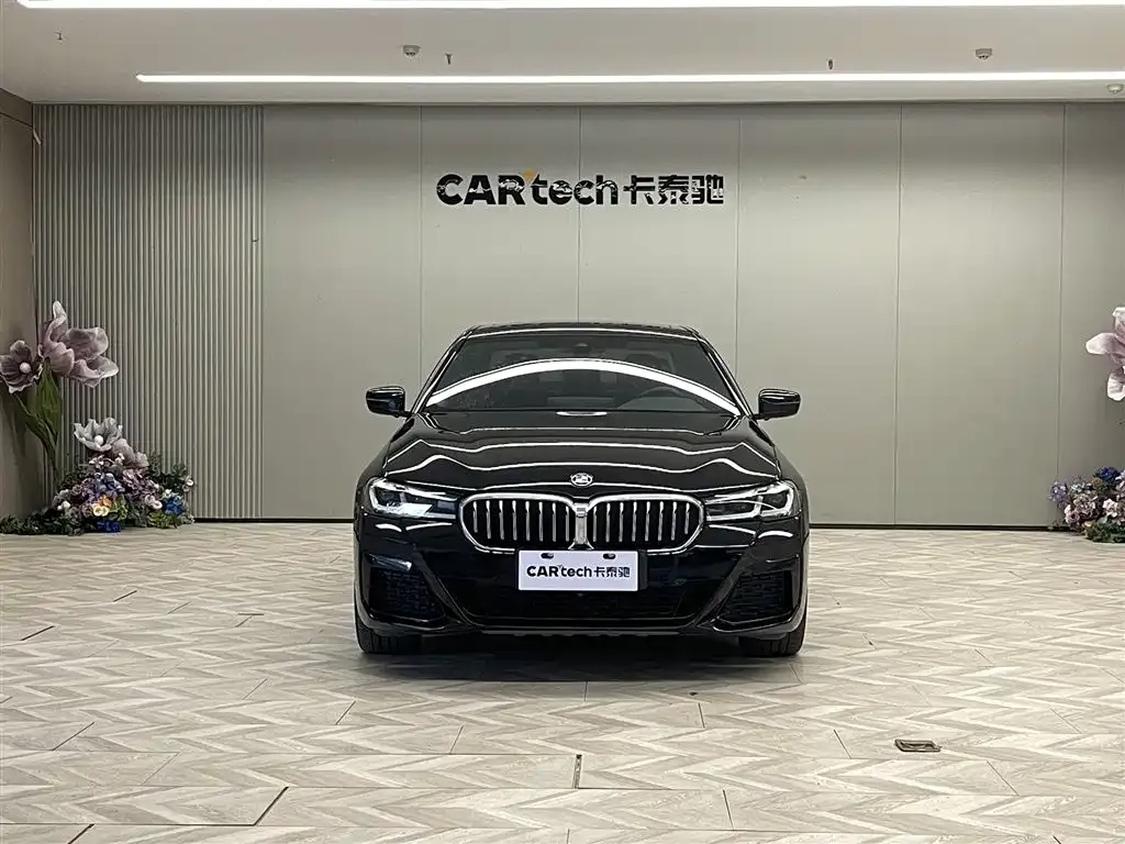 BMW 5 Series New Energy 2021 из CN, фото 3