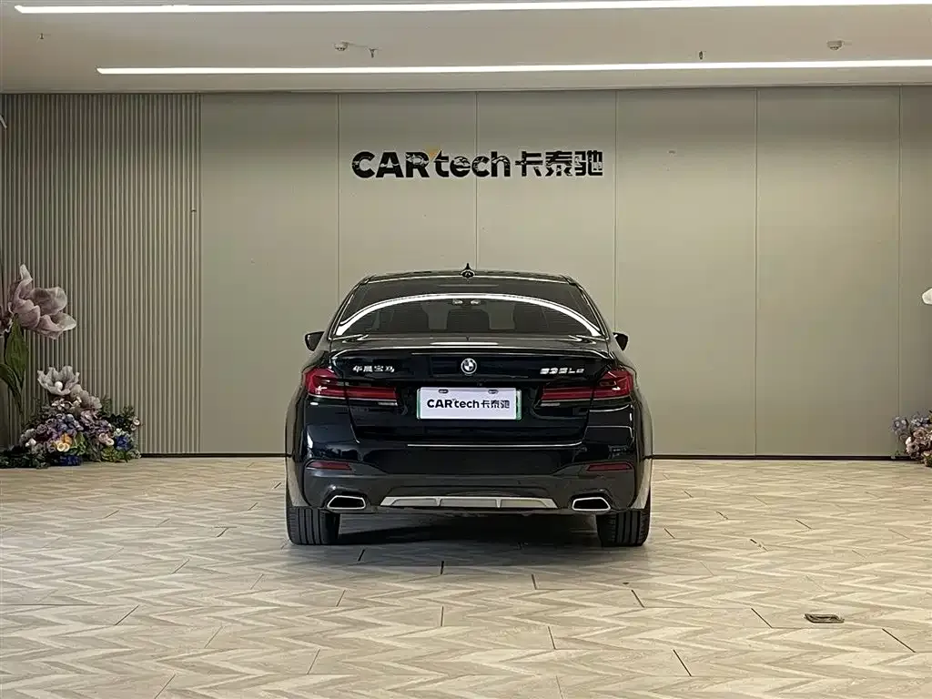 BMW 5 Series New Energy 2021 из CN, фото 6