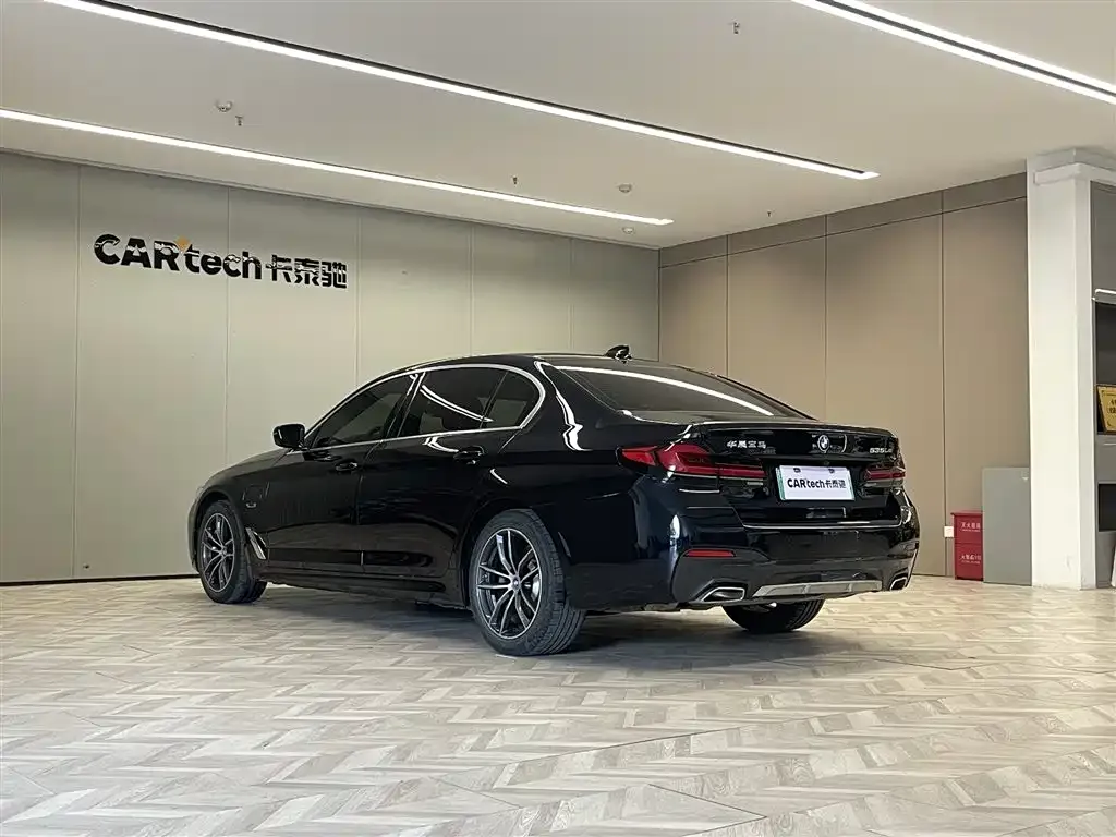 BMW 5 Series New Energy 2021 из CN, фото 7