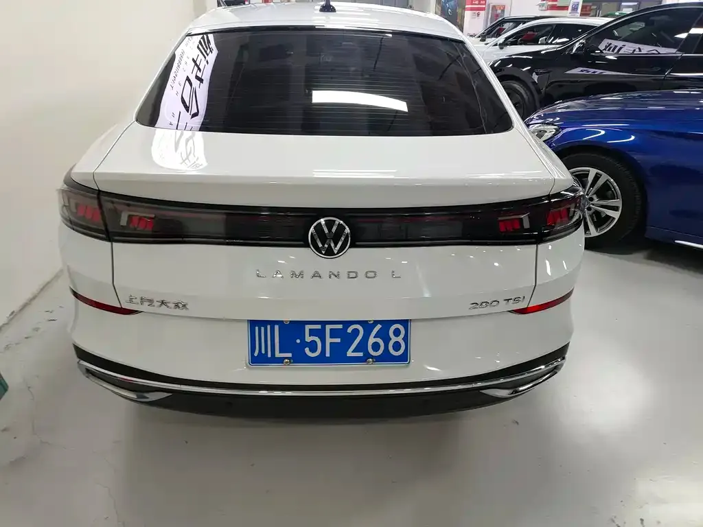 Volkswagen Lamando 2024 из CN, фото 8