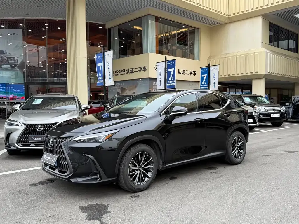 Lexus NX 2023 из CN, фото 1