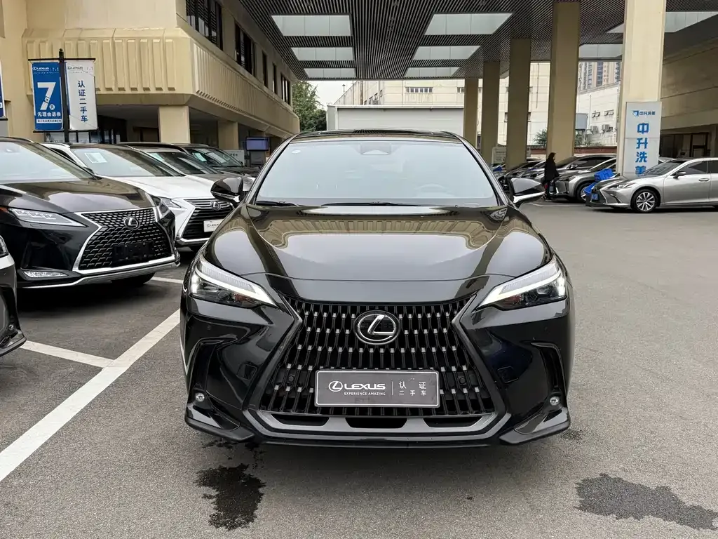 Lexus NX 2023 из CN, фото 2