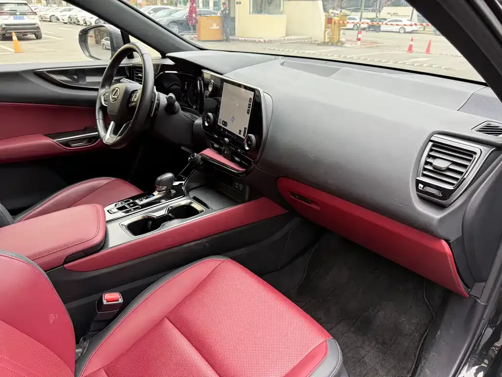 Lexus NX 2023 из CN, фото 4