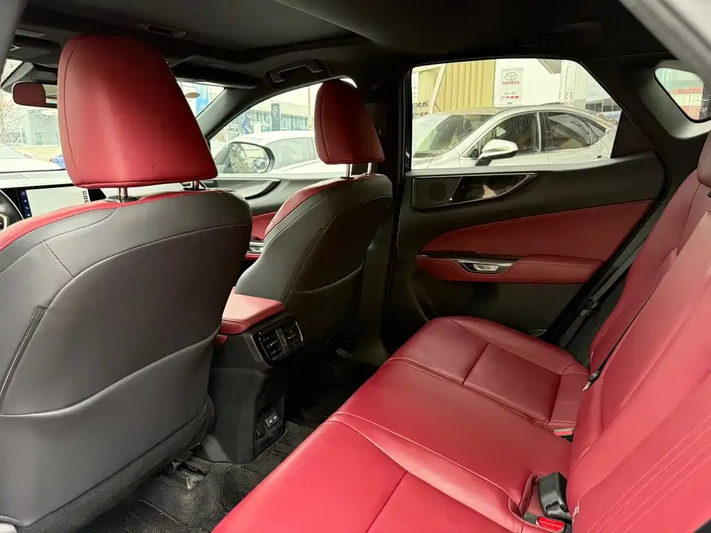 Lexus NX 2023 из CN, фото 6