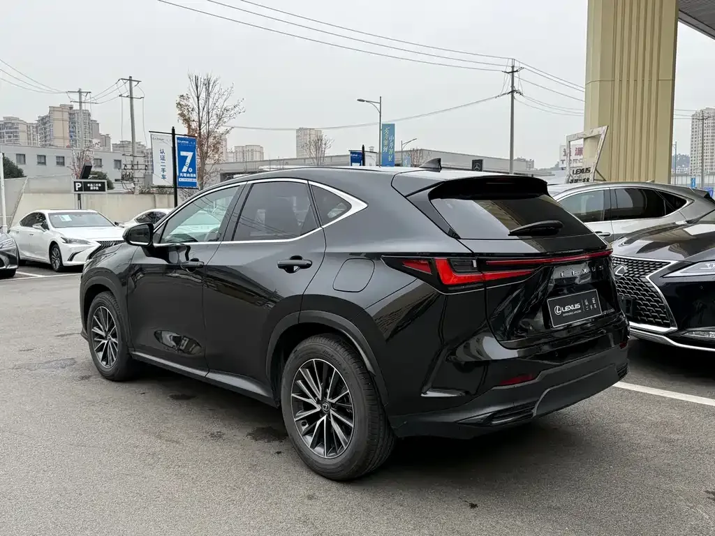 Lexus NX 2023 из CN, фото 8