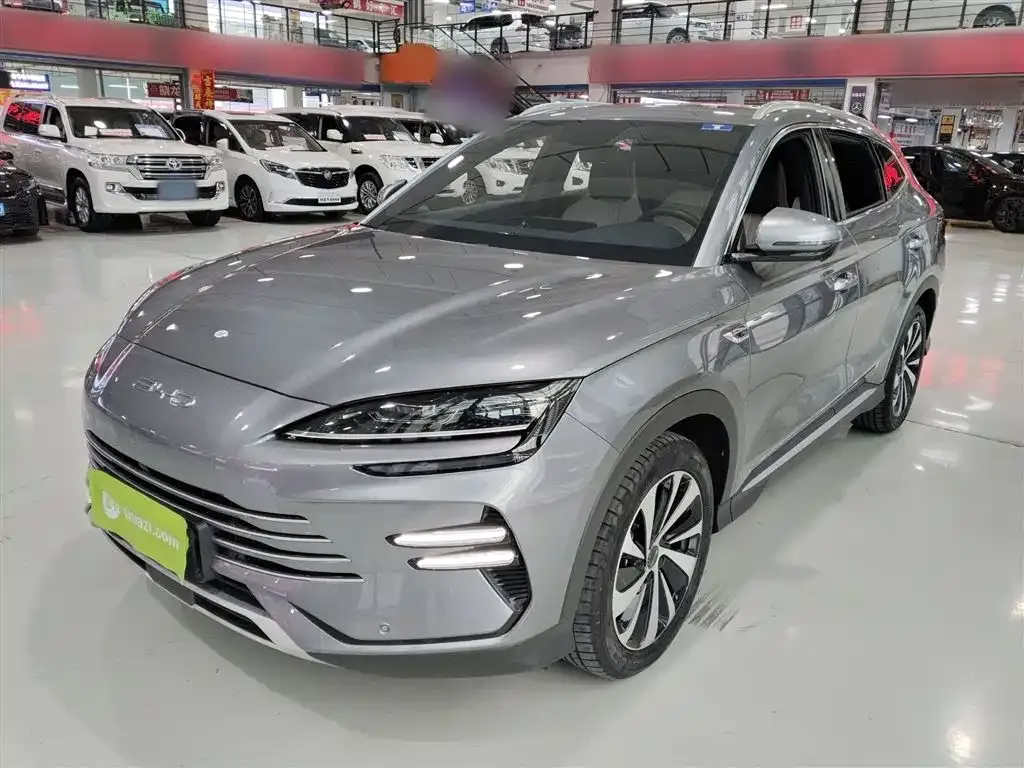 BYD PLUS New Energy 2024 из CN, фото 1