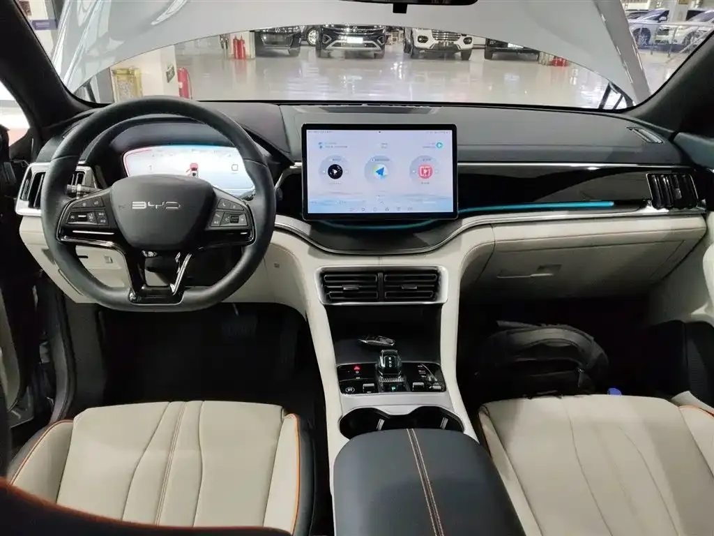 BYD PLUS New Energy 2024 из CN, фото 10