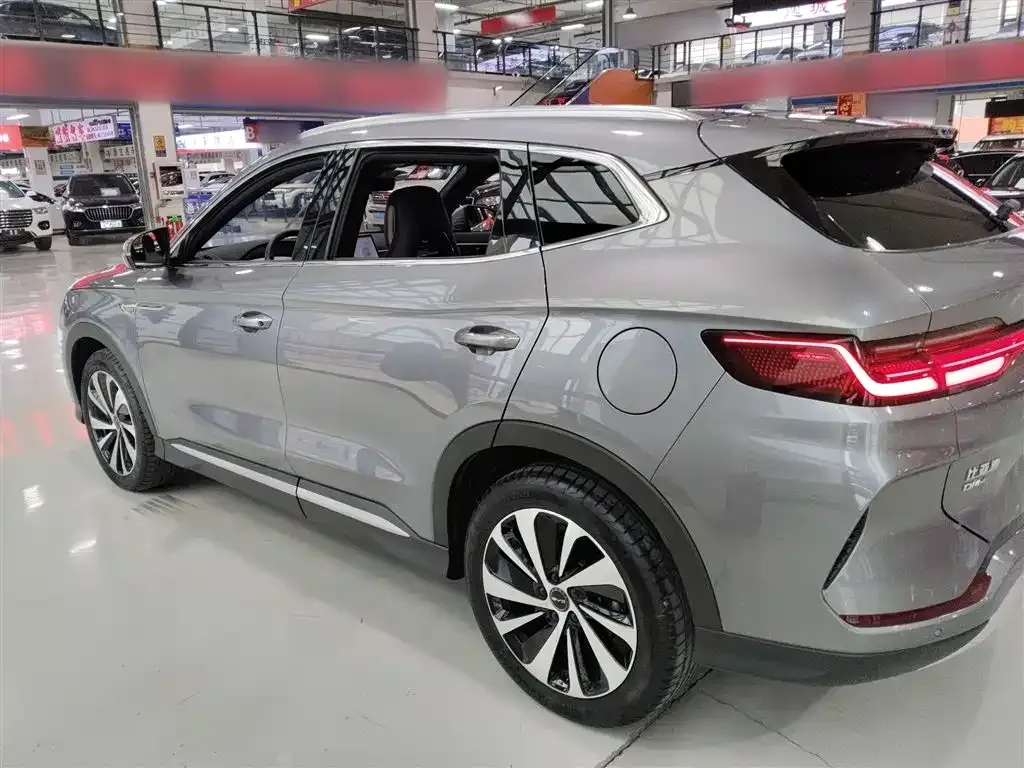 BYD PLUS New Energy 2024 из CN, фото 5