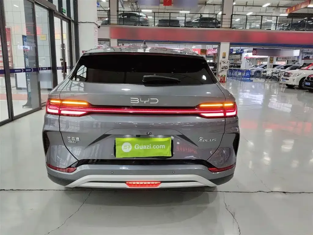 BYD PLUS New Energy 2024 из CN, фото 6