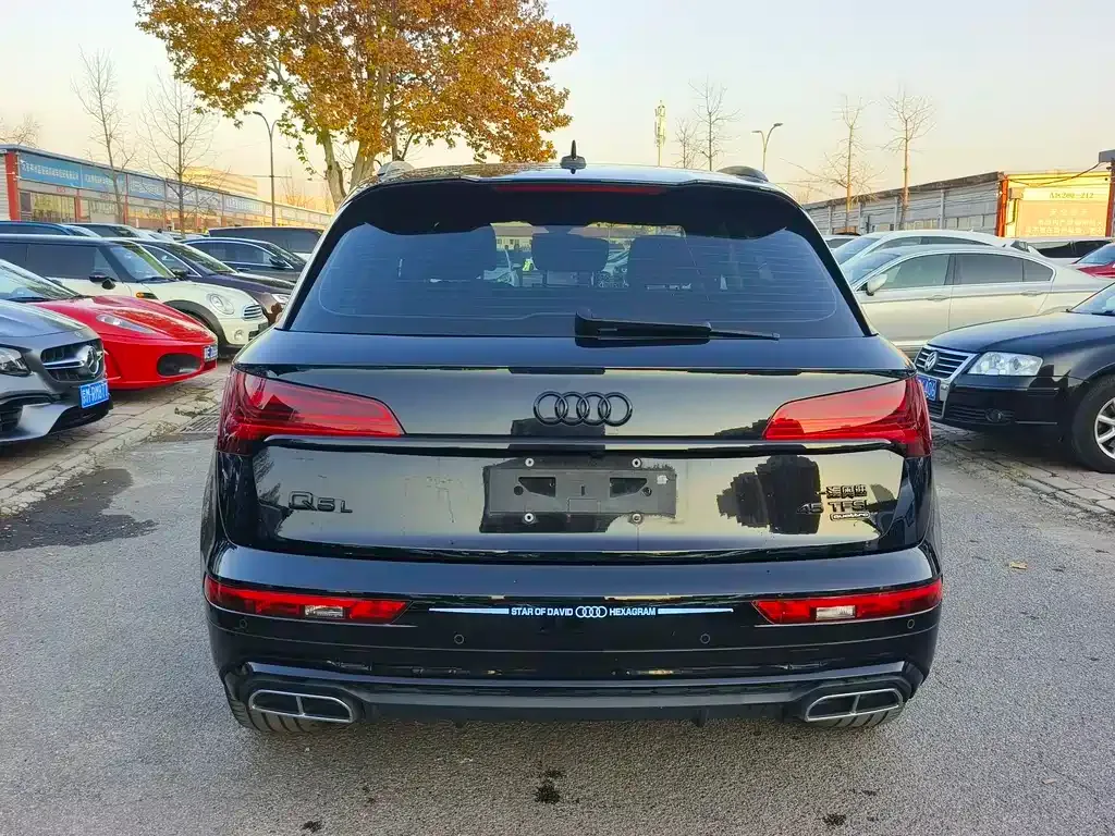 Audi Q5L 2023 из CN, фото 5
