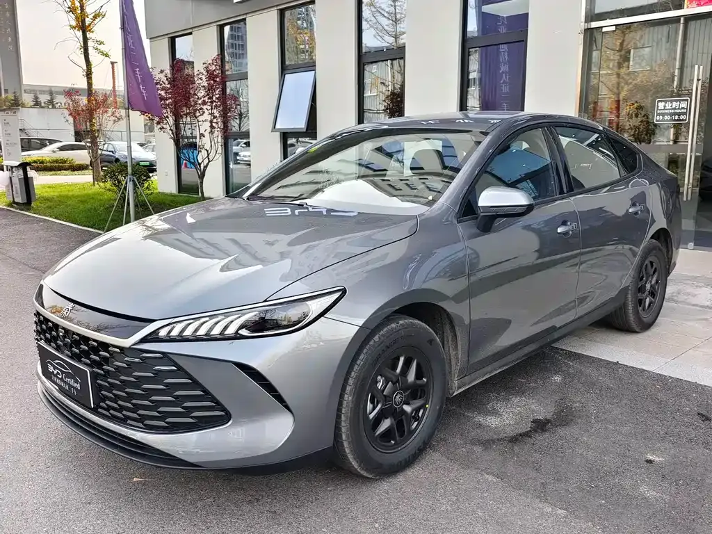 BYD Qin PLUS 2025 из CN, фото 1