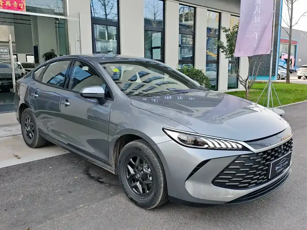 BYD Qin PLUS 2025 из CN, фото 2