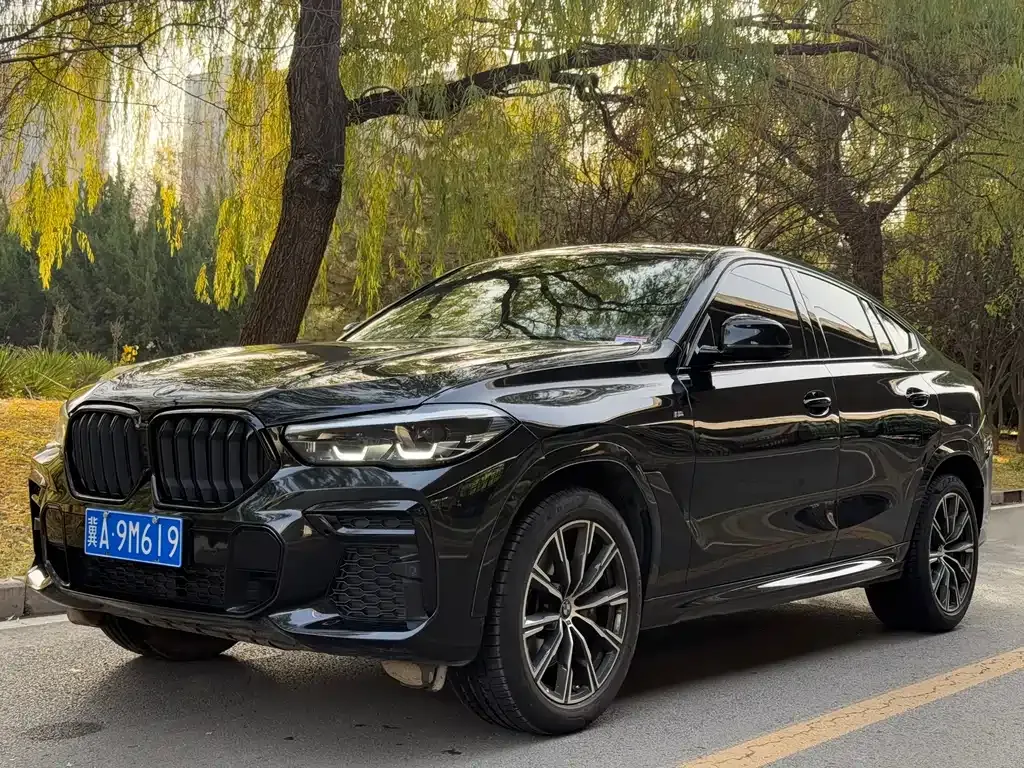 BMW X6