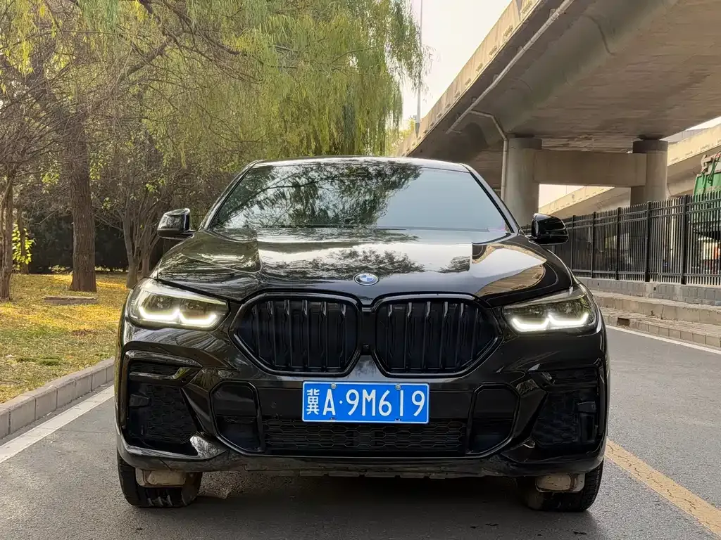 BMW X6 2023 из CN, фото 2