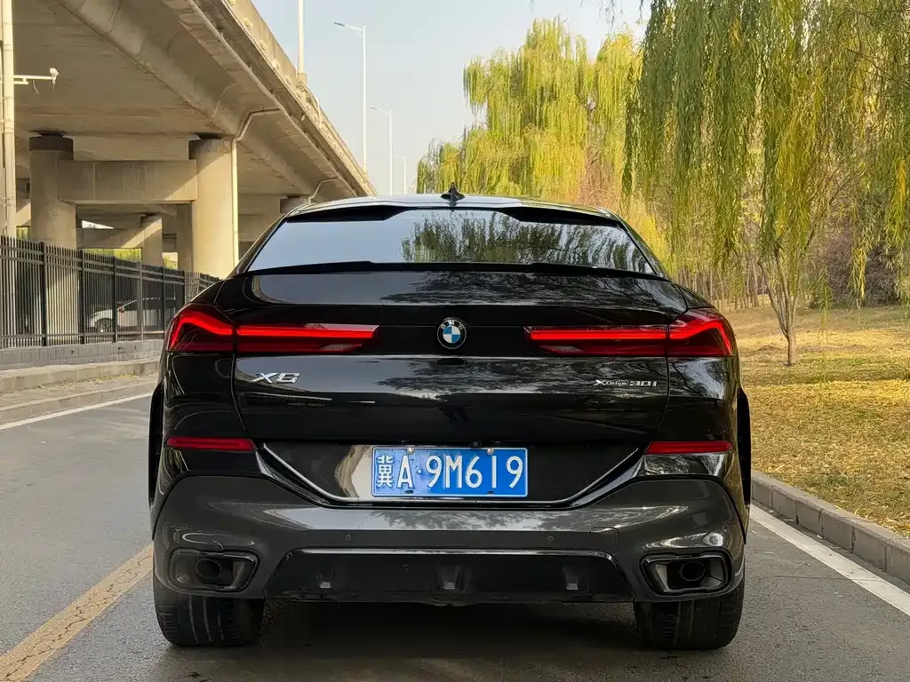 BMW X6 2023 из CN, фото 4