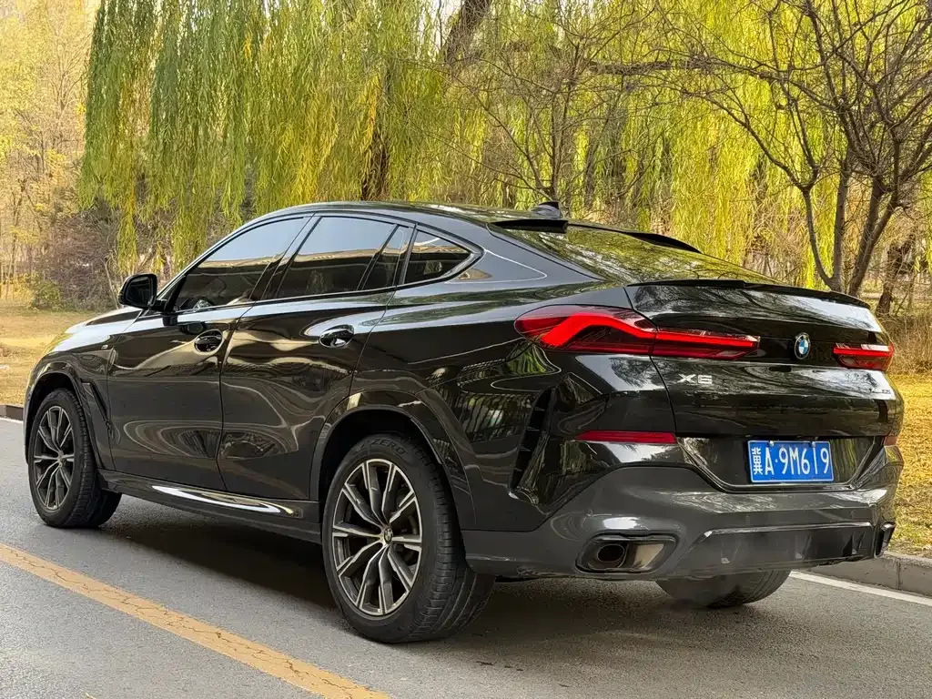 BMW X6 2023 из CN, фото 5